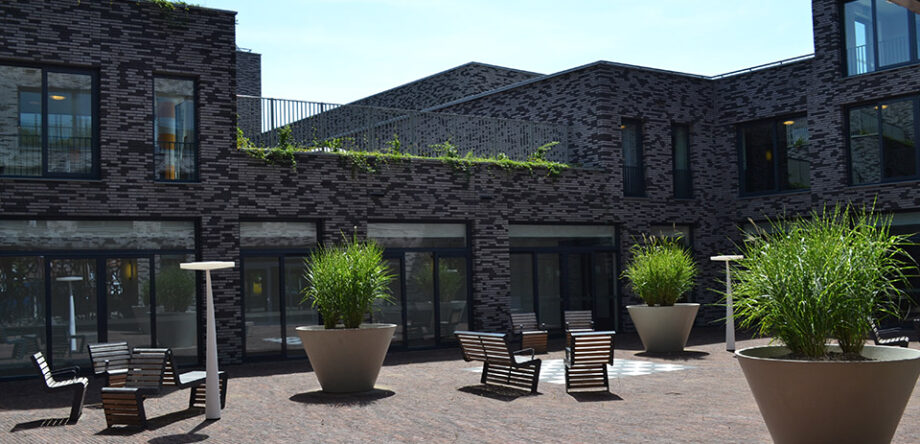 Deze afbeelding heeft een leeg alt-attribuut; de bestandsnaam is Vita-920x444.jpg